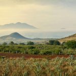 USA National Tequila Day – Tuesday July 24, 2018