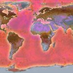 IARD Report on Illicit Alcohol raises awareness but misses on USA & Canada World Map report on illicit alcohol